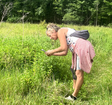 WLC Hosts Woodstock Pollinator Pathway iNaturalist Event