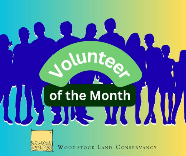 Volunteer of the Month: Ed Rosenblum