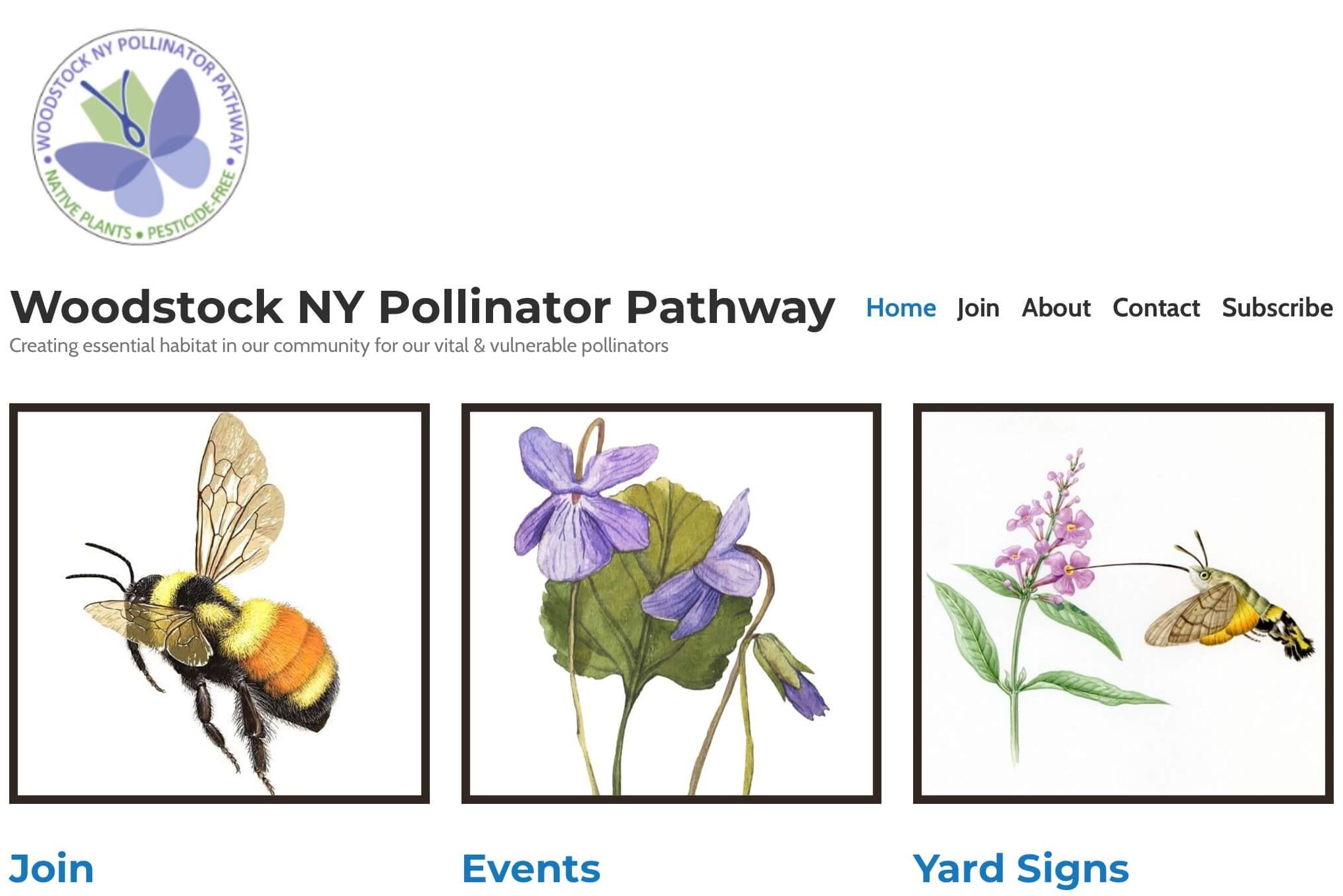 Woodstock Pollinator Pathway Featured in Local Media