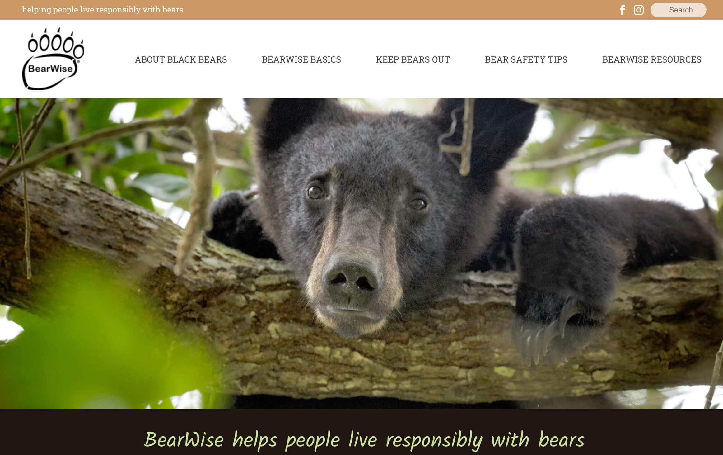 Town’s Bear Proposal Close to a Vote
