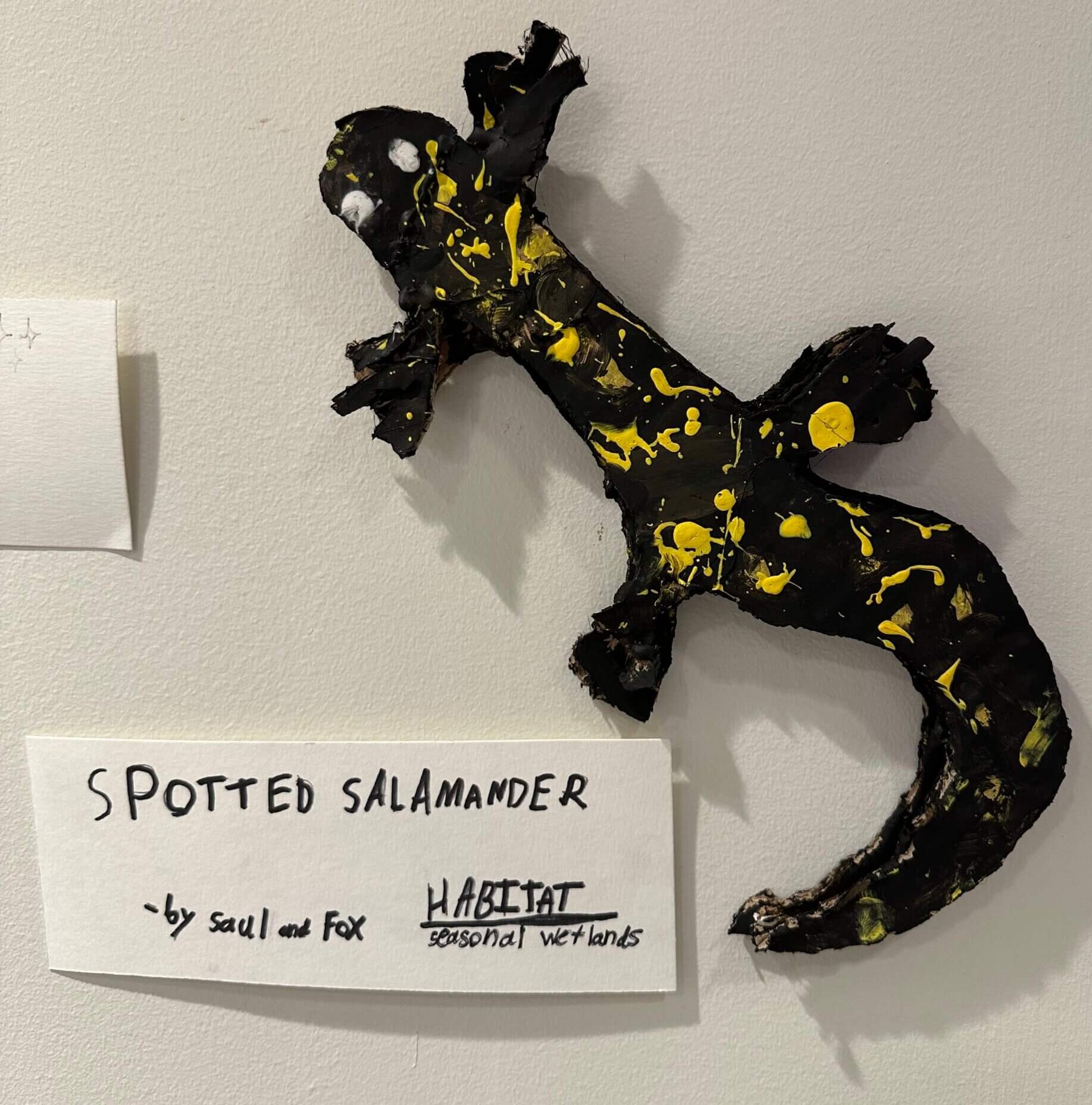 Watershed Wonders Exhibit Run through May 7