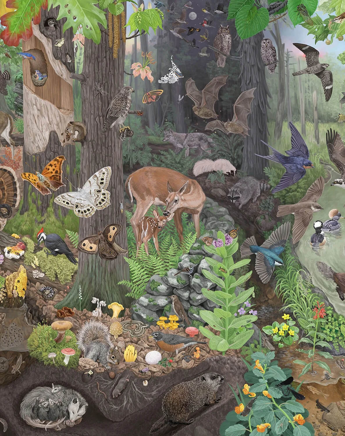 Celebration of Zena: An Immersive Forest Experience, An Evening of Immersive Sounds, Sights, and Reciprocity with Local Wilderness, featuring new work by Zaneta and Zoe Keller 