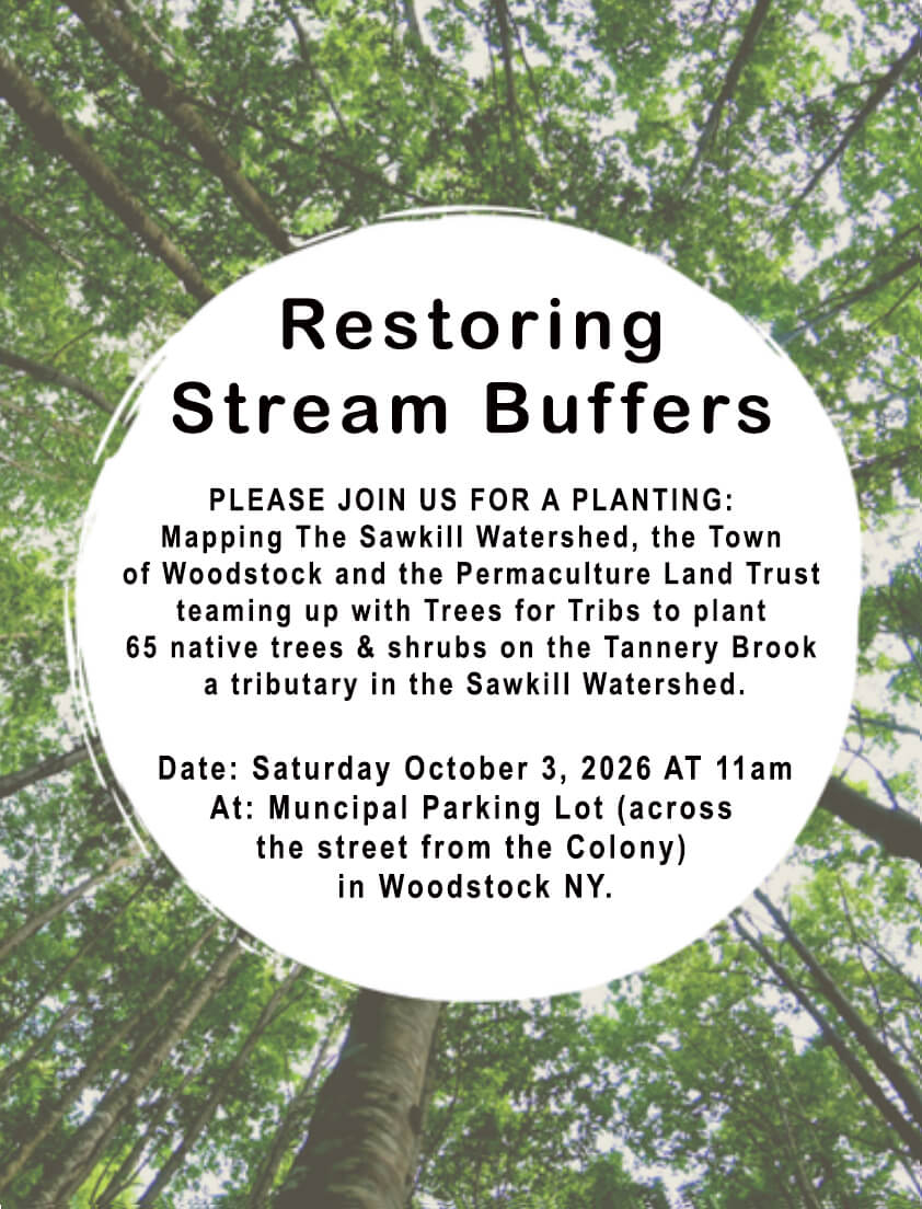A Riparian Buffer Planting on the Tannery Brook